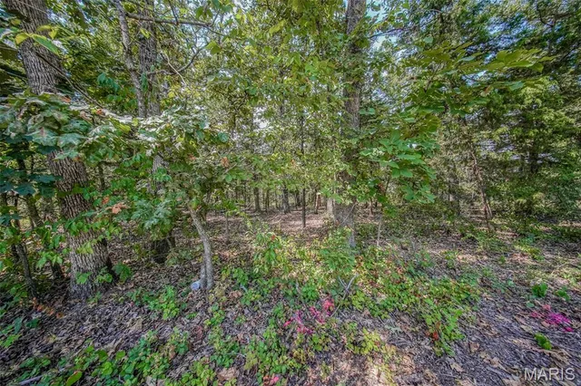 $25,000 | 0 Faust Court, Rolla, MO 65401