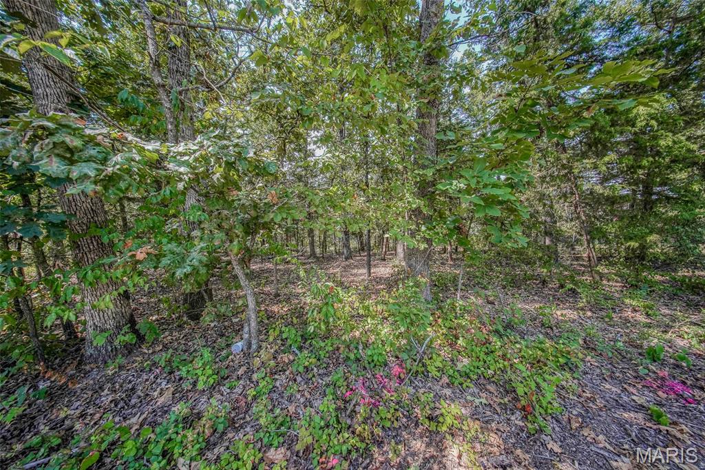 0 Faust Court Rolla, MO 65401 - Photo 4 of 7