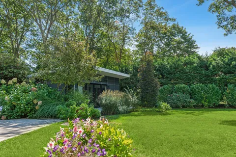 a view of a garden with flowers