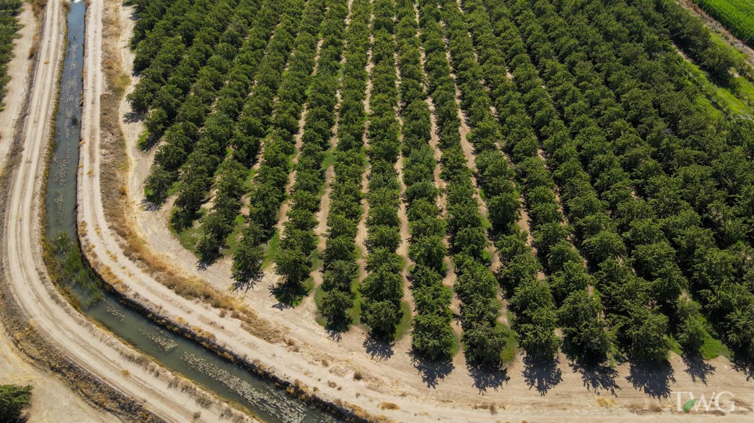 0 Fox Road Atwater, CA 95301 - Photo 3 of 16 a view of a plant from a window