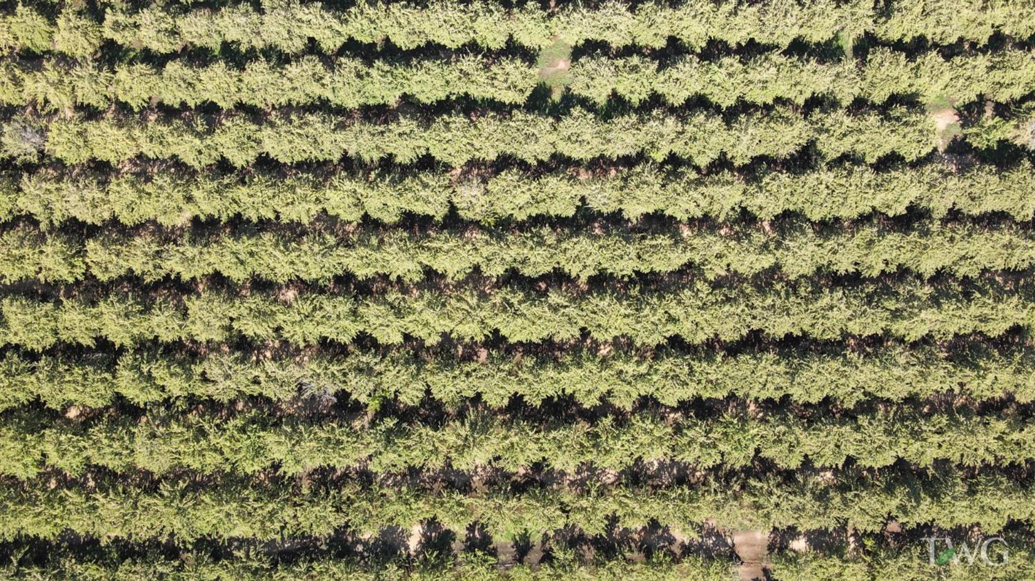 0 Fox Road Atwater, CA 95301 - Photo 5 of 16 a view of a field