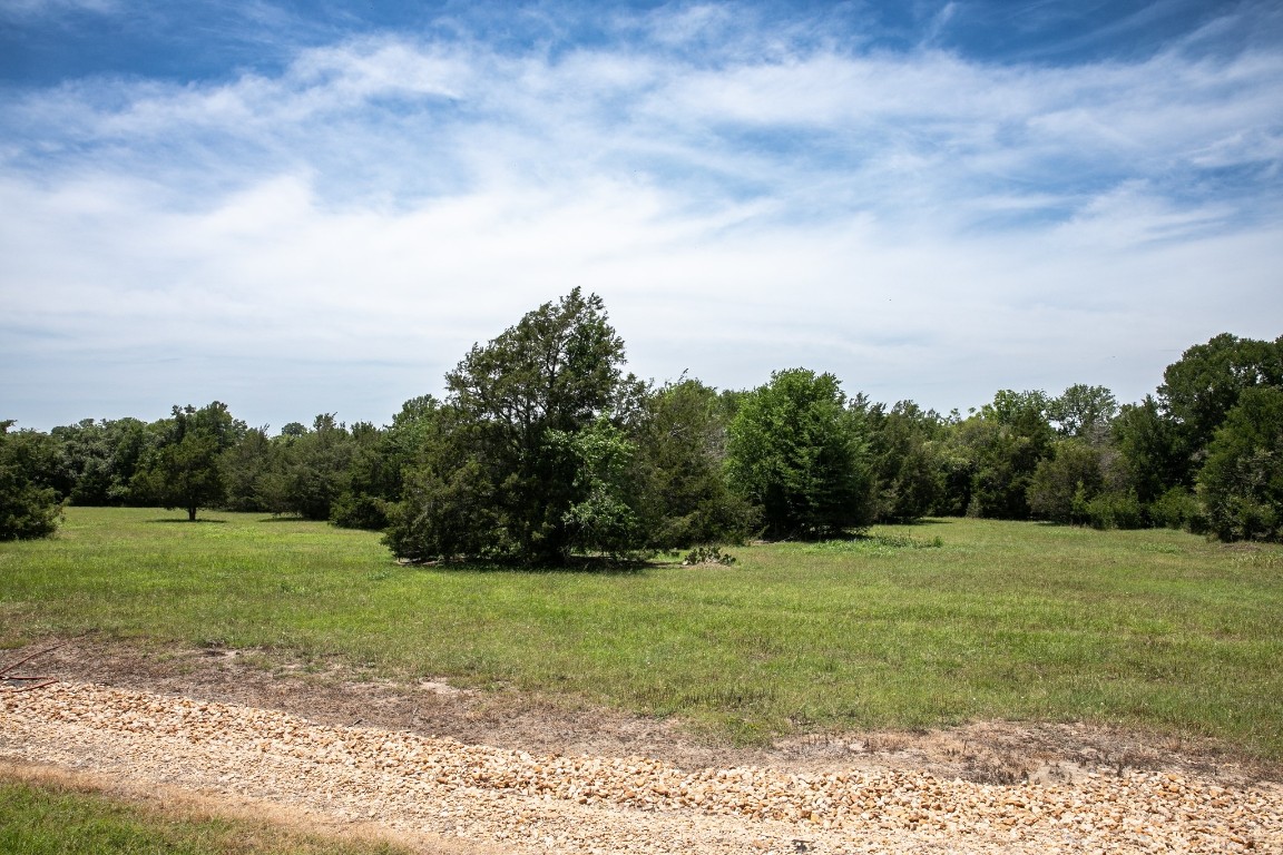5427 Mustang Road Brenham, TX 77833 - Photo 12 of 19 a view of a grassy field with trees in the background