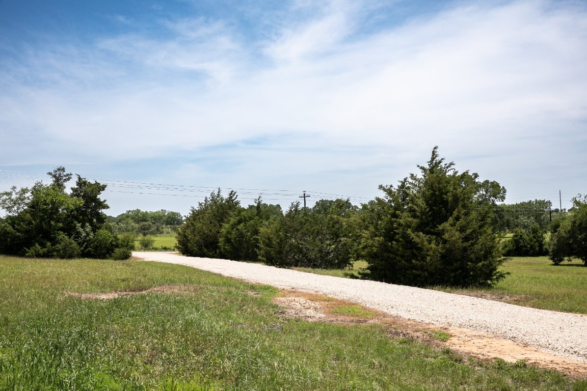 5427 Mustang Road Brenham, TX 77833 - Photo 14 of 19 a view of a grassy field with an trees