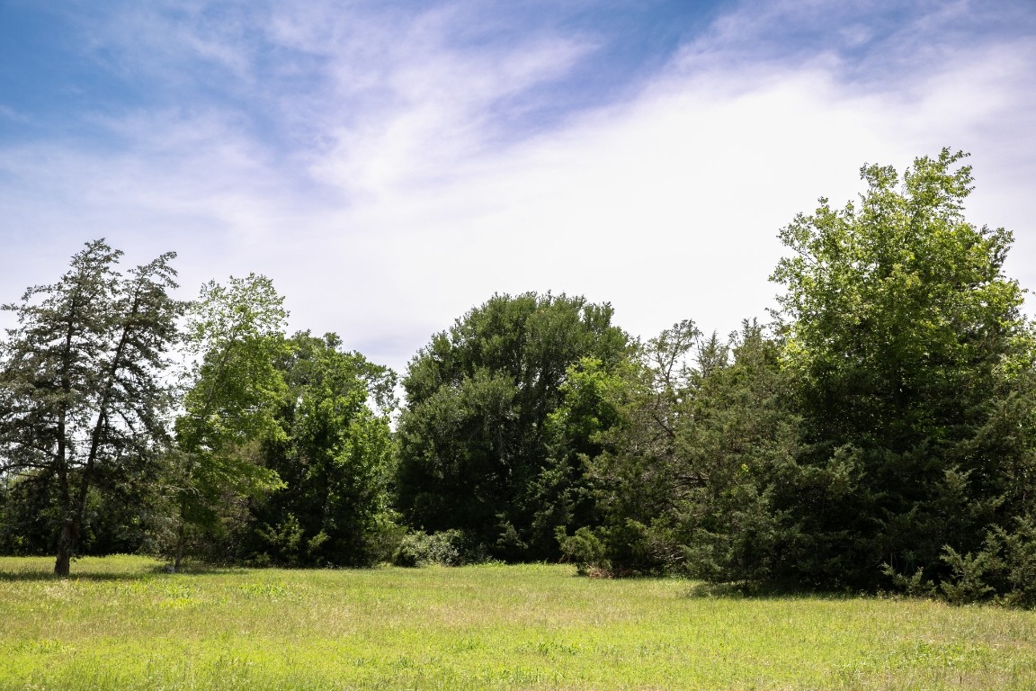 5427 Mustang Road Brenham, TX 77833 - Photo 15 of 19 a view of a yard