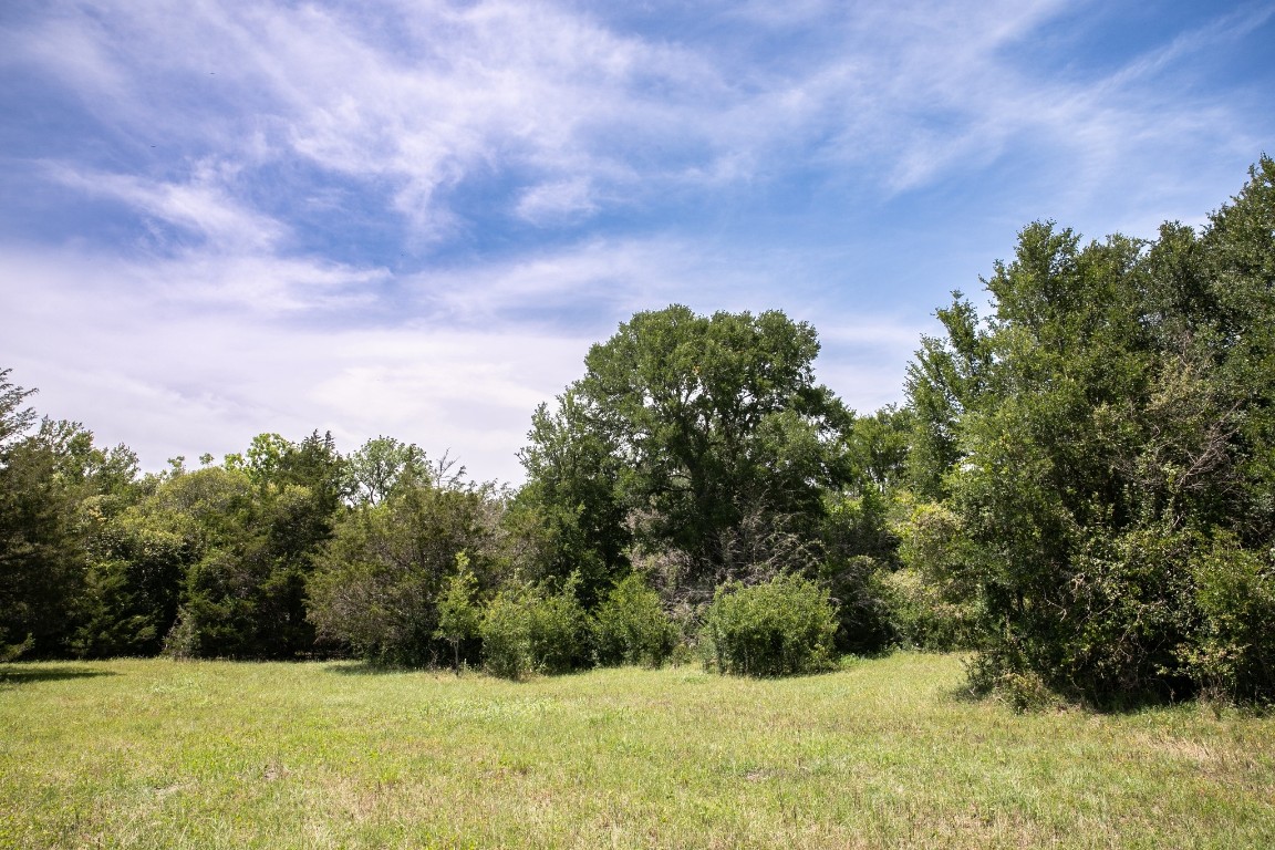 5427 Mustang Road Brenham, TX 77833 - Photo 18 of 19 a view of a yard with a house