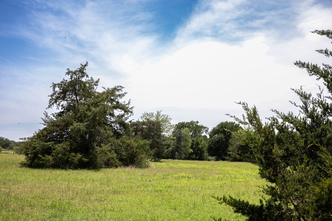5427 Mustang Road Brenham, TX 77833 - Photo 19 of 19 a view of a field with a tree in the background