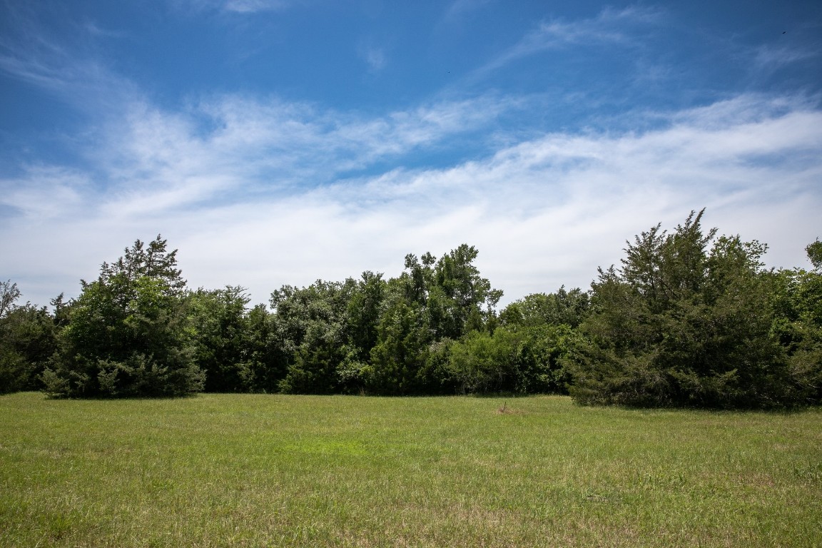 5427 Mustang Road Brenham, TX 77833 - Photo 7 of 19 a view of a field with trees in the background