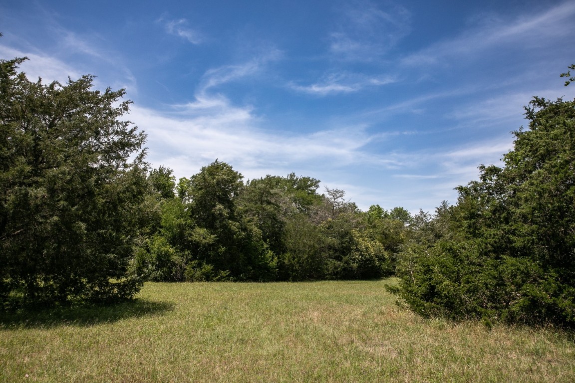 5427 Mustang Road Brenham, TX 77833 - Photo 8 of 19 a view of yard with trees