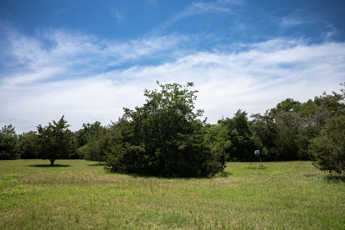 5427 Mustang Road Brenham, TX 77833 - Photo 9 of 19 a view of an outdoor space and a yard