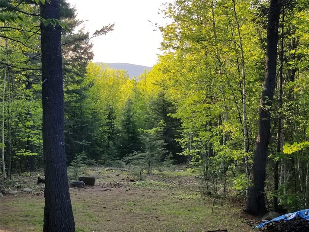 101 Valley Road Sumner, ME 04292 - Photo 4 of 27 Spring time at the cabin.