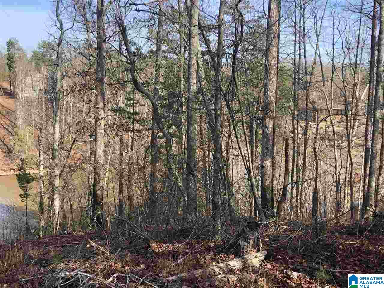 Lot 4 Point View, Unit LOT 4 Wedowee, AL 36278 - Photo 4 of 8