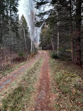 $110,000 | Lot 1-9 Lead Mine Road, Lubec, ME 04652