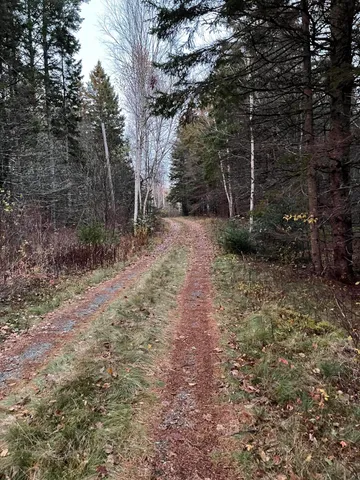 $110,000 | Lot 1-9 Lead Mine Road, Lubec, ME 04652