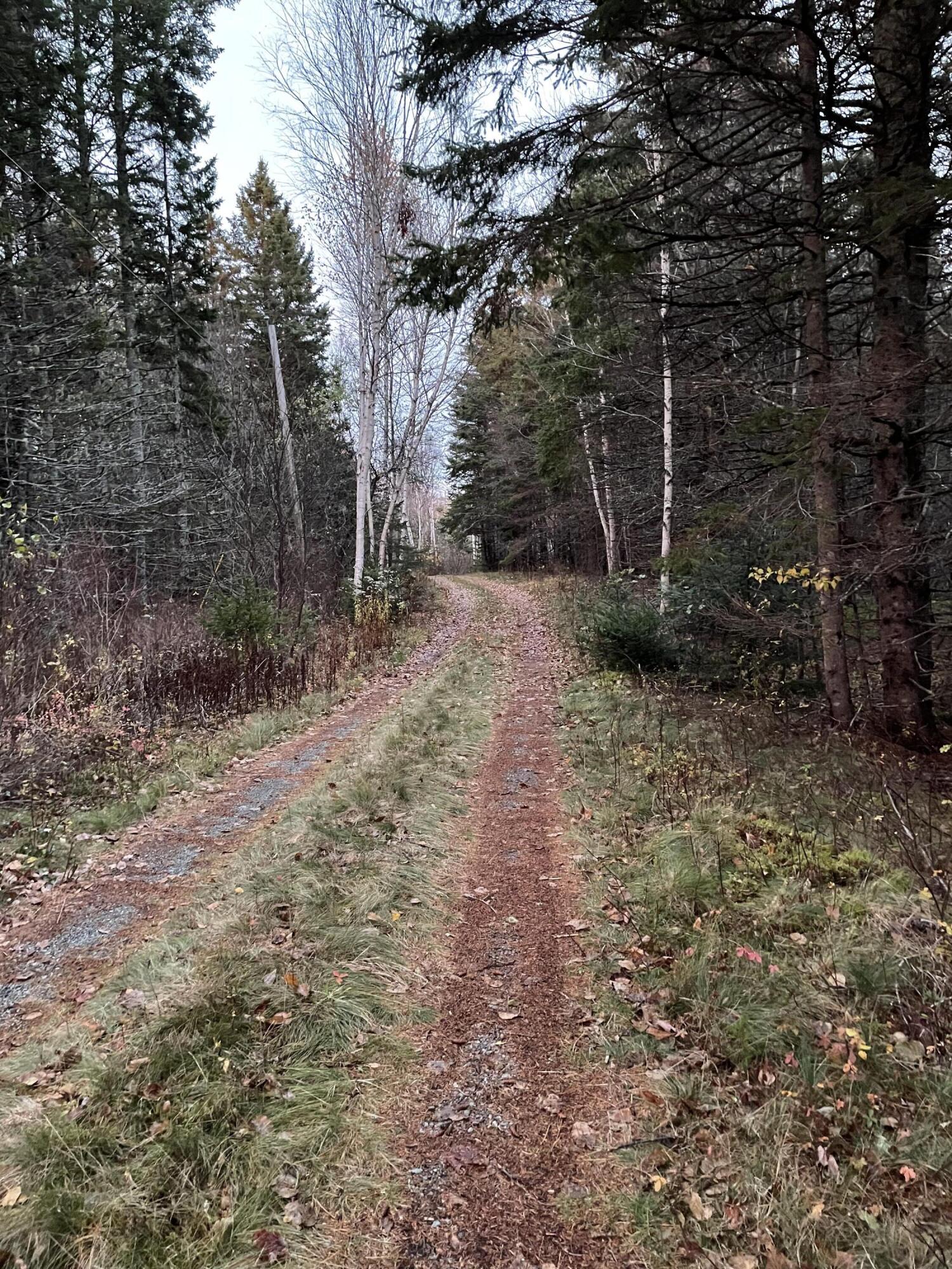 Lot 1-9 Lead Mine Road Lubec, ME 04652 - Photo 5 of 10 IMG_3546