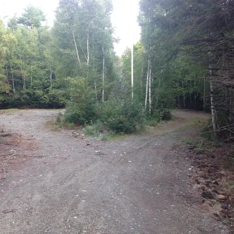 $110,000 | Lot 1-9 Lead Mine Road, Lubec, ME 04652