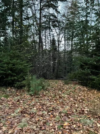 $110,000 | Lot 1-9 Lead Mine Road, Lubec, ME 04652