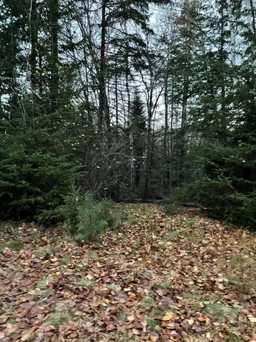$110,000 | Lot 1-9 Lead Mine Road, Lubec, ME 04652