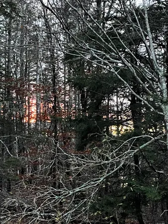 $110,000 | Lot 1-9 Lead Mine Road, Lubec, ME 04652