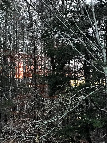 $110,000 | Lot 1-9 Lead Mine Road, Lubec, ME 04652