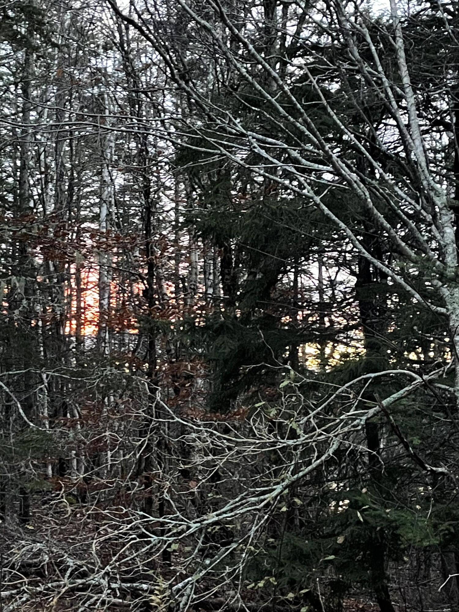 Lot 1-9 Lead Mine Road Lubec, ME 04652 - Photo 8 of 10 IMG_3552