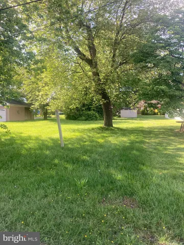 a view of a trees with a yard