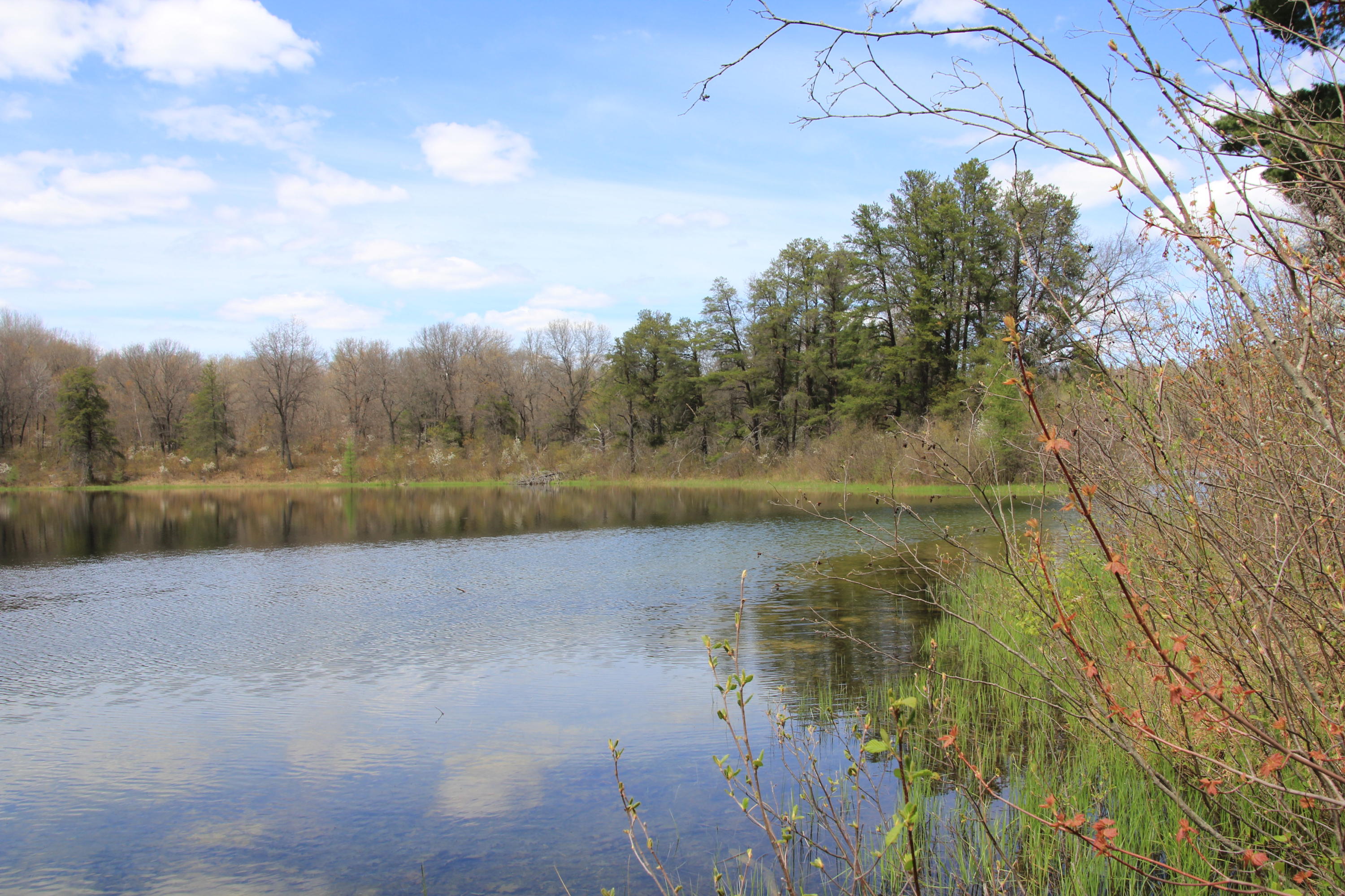 North Skeel Road Curran, MI 48728 - Photo 18 of 36 Gallery Image 18