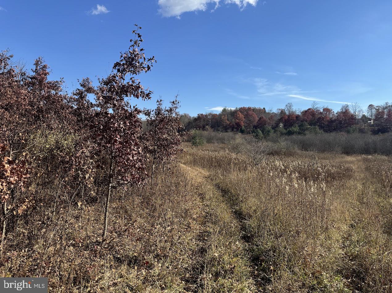 a view of a field with trees in the background