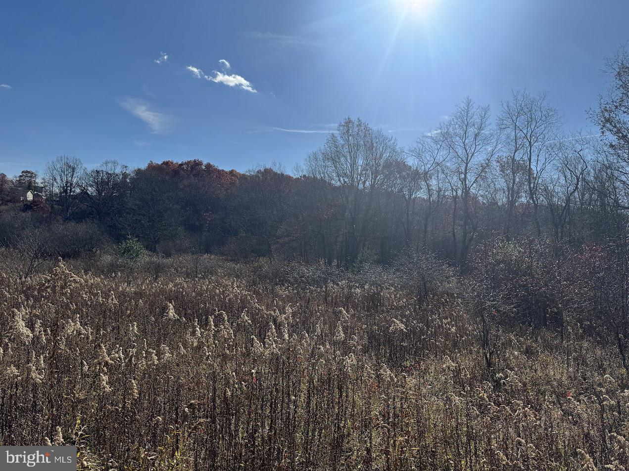 4000-area Broadford Road Oakland, MD 21550 - Photo 2 of 10 a view of a yard