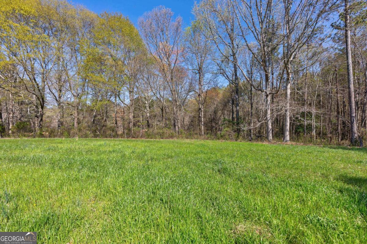 8986 Highway 29 Hull, GA 30646 - Photo 17 of 34 a view of a yard with a tree