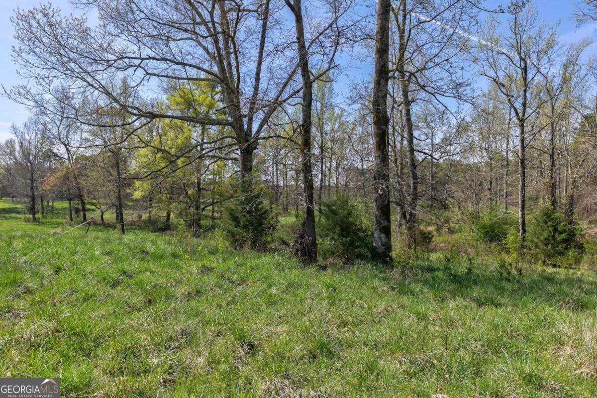 8986 Highway 29 Hull, GA 30646 - Photo 18 of 34 a view of a lush green forest