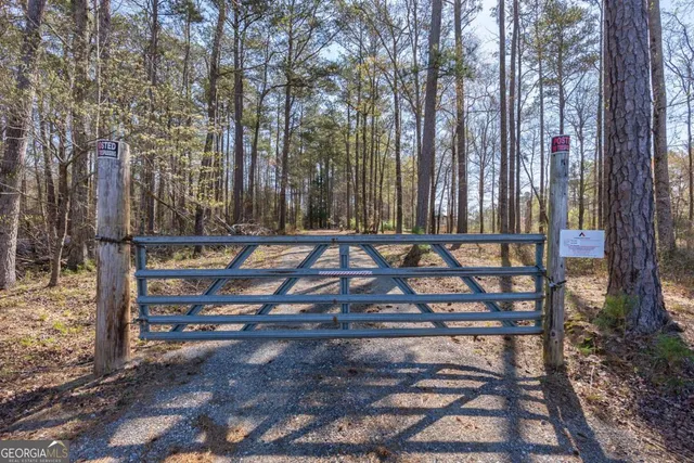 a view of backyard with tree