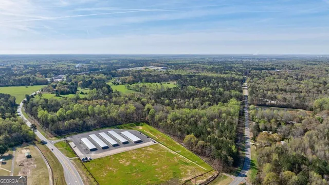 a view of a park with large trees