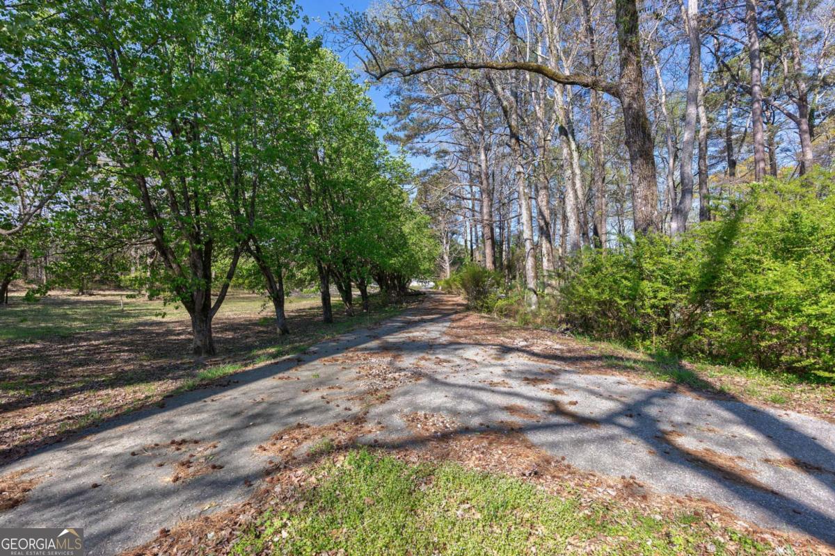 8986 Highway 29 Hull, GA 30646 - Photo 9 of 34 a view of a yard with plants and trees