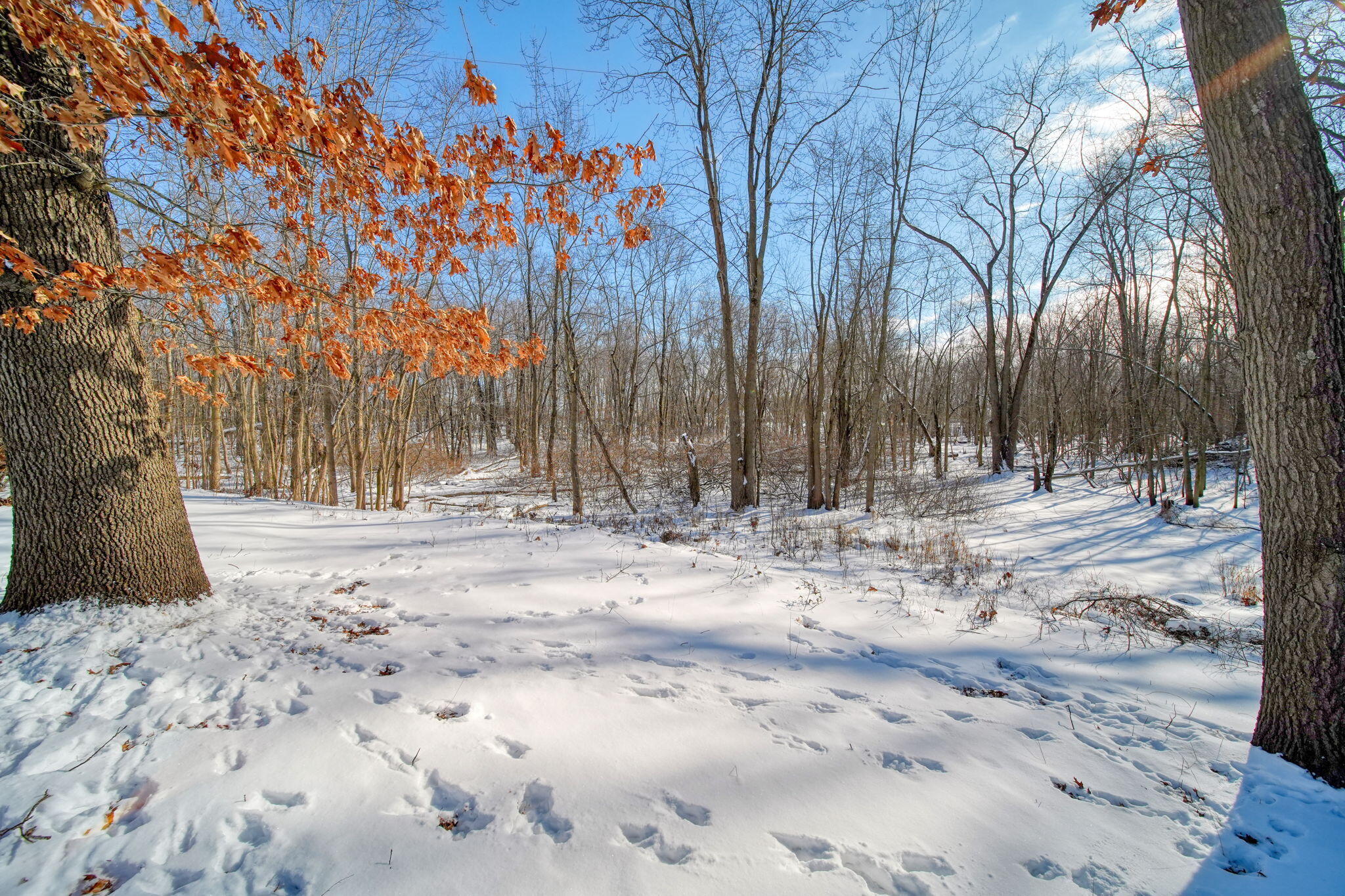 12000 Churchill Road Rives Junction, MI 49277 - Photo 39 of 63 44-web-or-mls-DSC05013_HDR