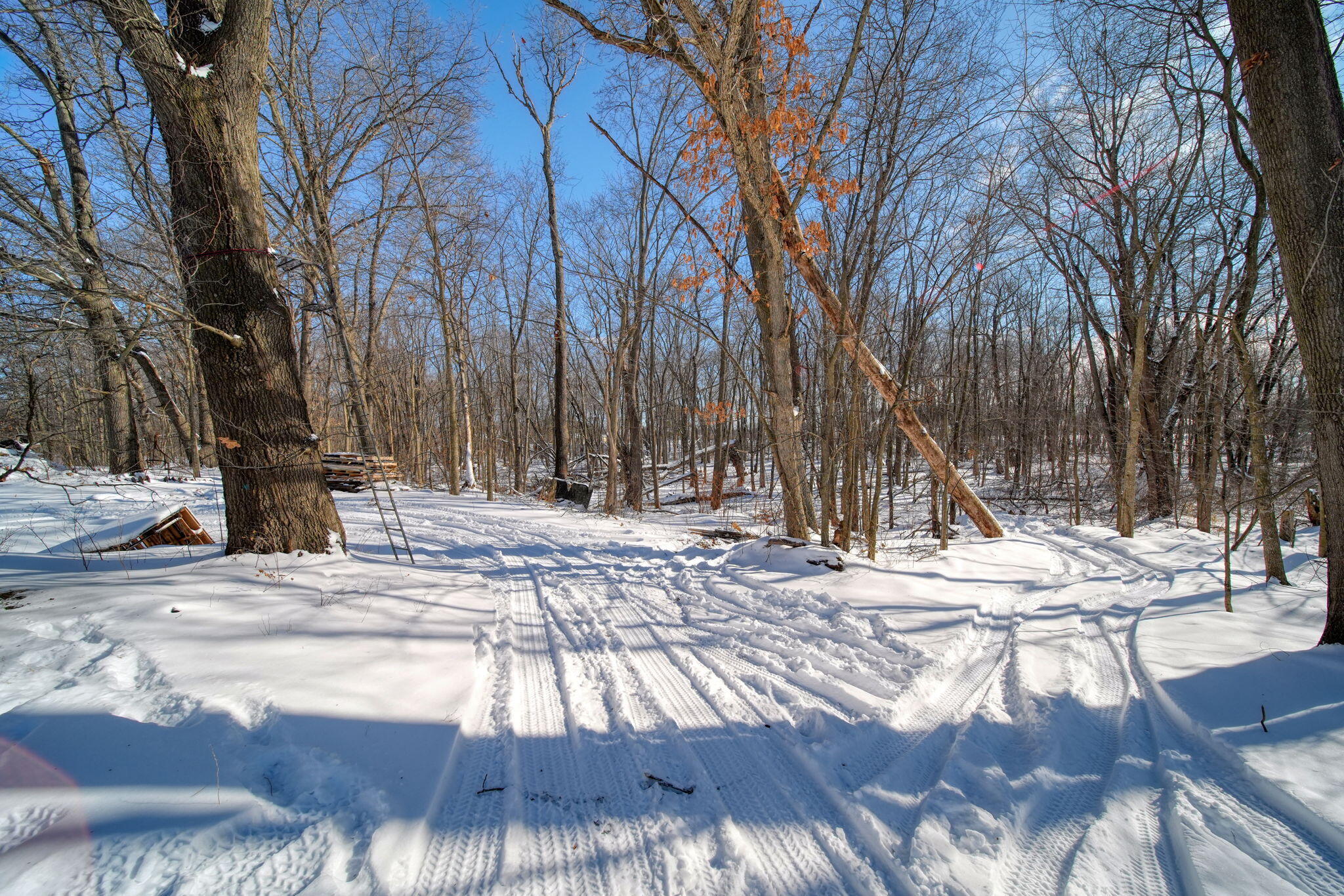 12000 Churchill Road Rives Junction, MI 49277 - Photo 46 of 63 51-web-or-mls-DSC05048_HDR