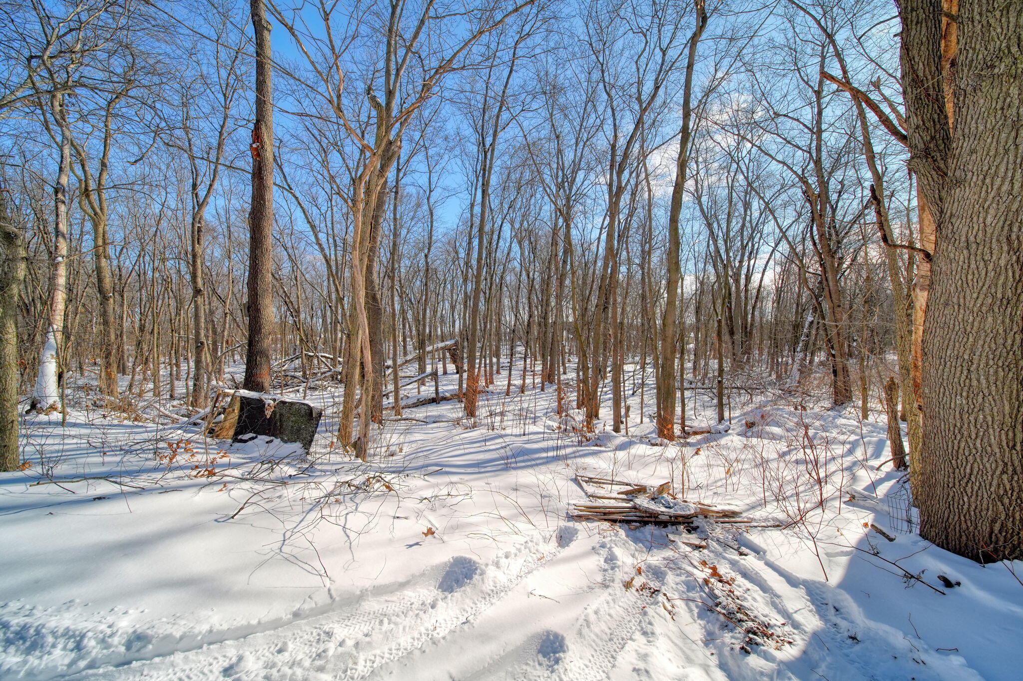 12000 Churchill Road Rives Junction, MI 49277 - Photo 47 of 63 52-web-or-mls-DSC05053_HDR