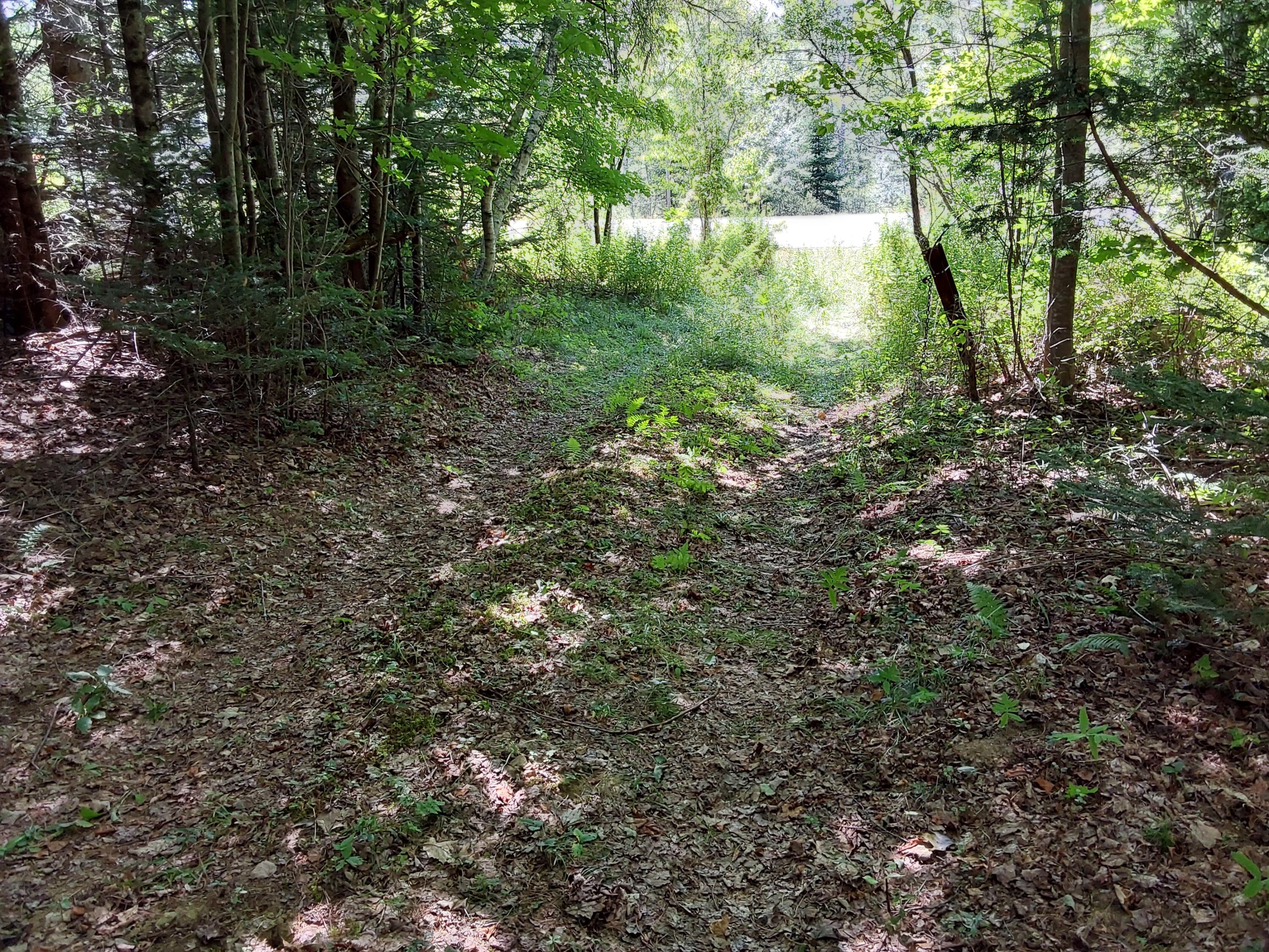 Lot 14 Augusta Road Washington, ME 04574 - Photo 3 of 4 1000006065