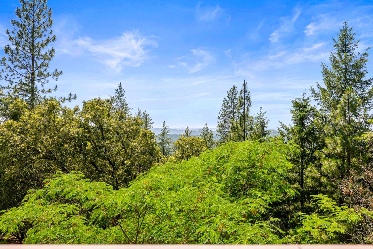 5821 Spanish Flat Road Placerville, CA 95667 - Photo 52 of 97