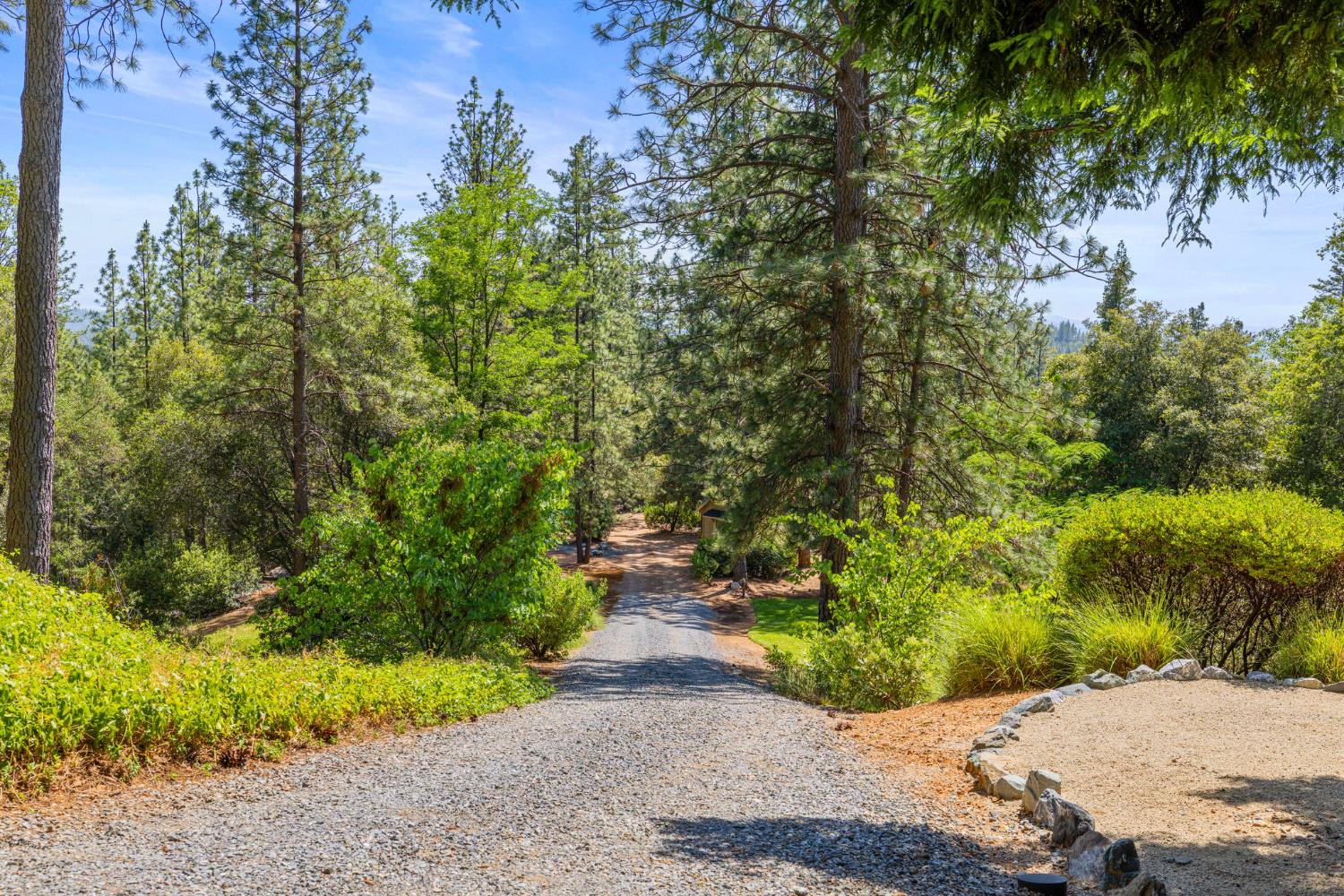 5821 Spanish Flat Road Placerville, CA 95667 - Photo 56 of 97