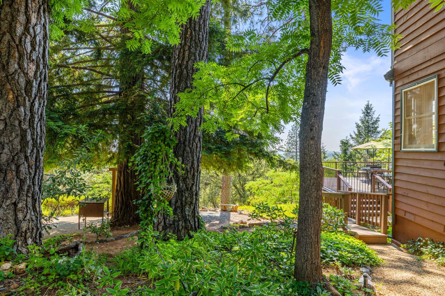 5821 Spanish Flat Road Placerville, CA 95667 - Photo 59 of 97 a view of a garden from a house