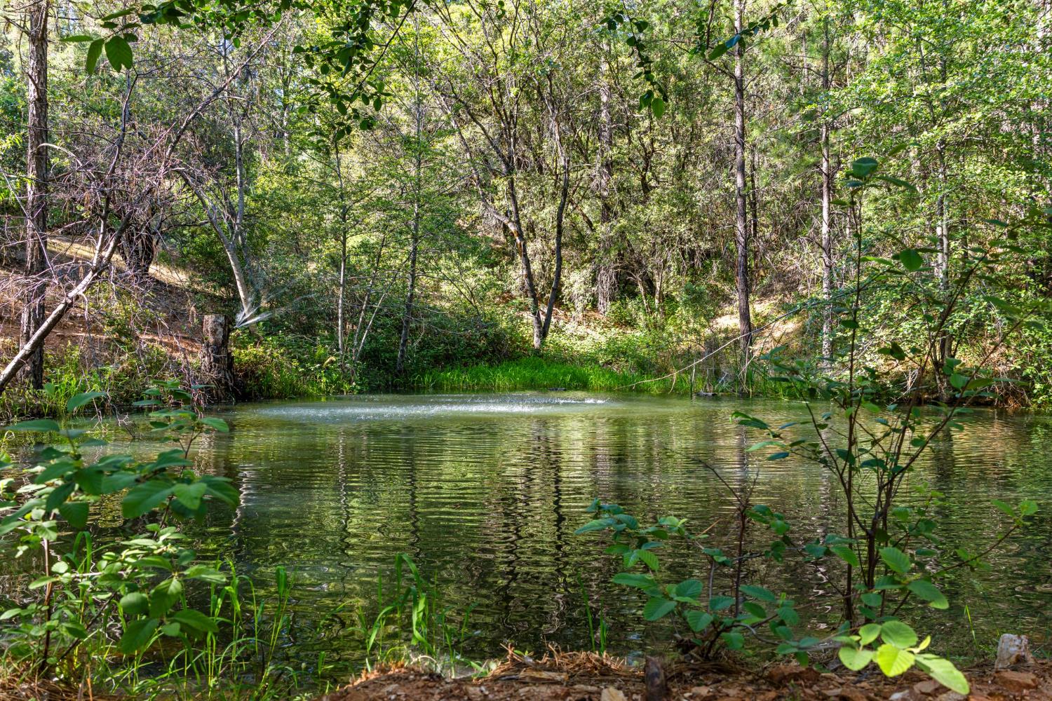 5821 Spanish Flat Road Placerville, CA 95667 - Photo 6 of 97 a view of lake with green space
