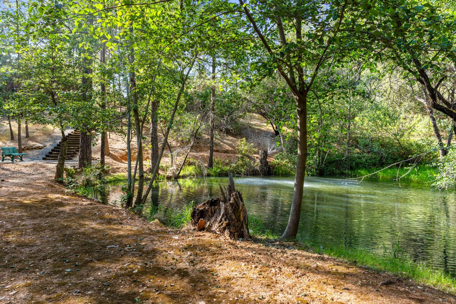 5821 Spanish Flat Road Placerville, CA 95667 - Photo 72 of 97 a view of a lake with a large trees