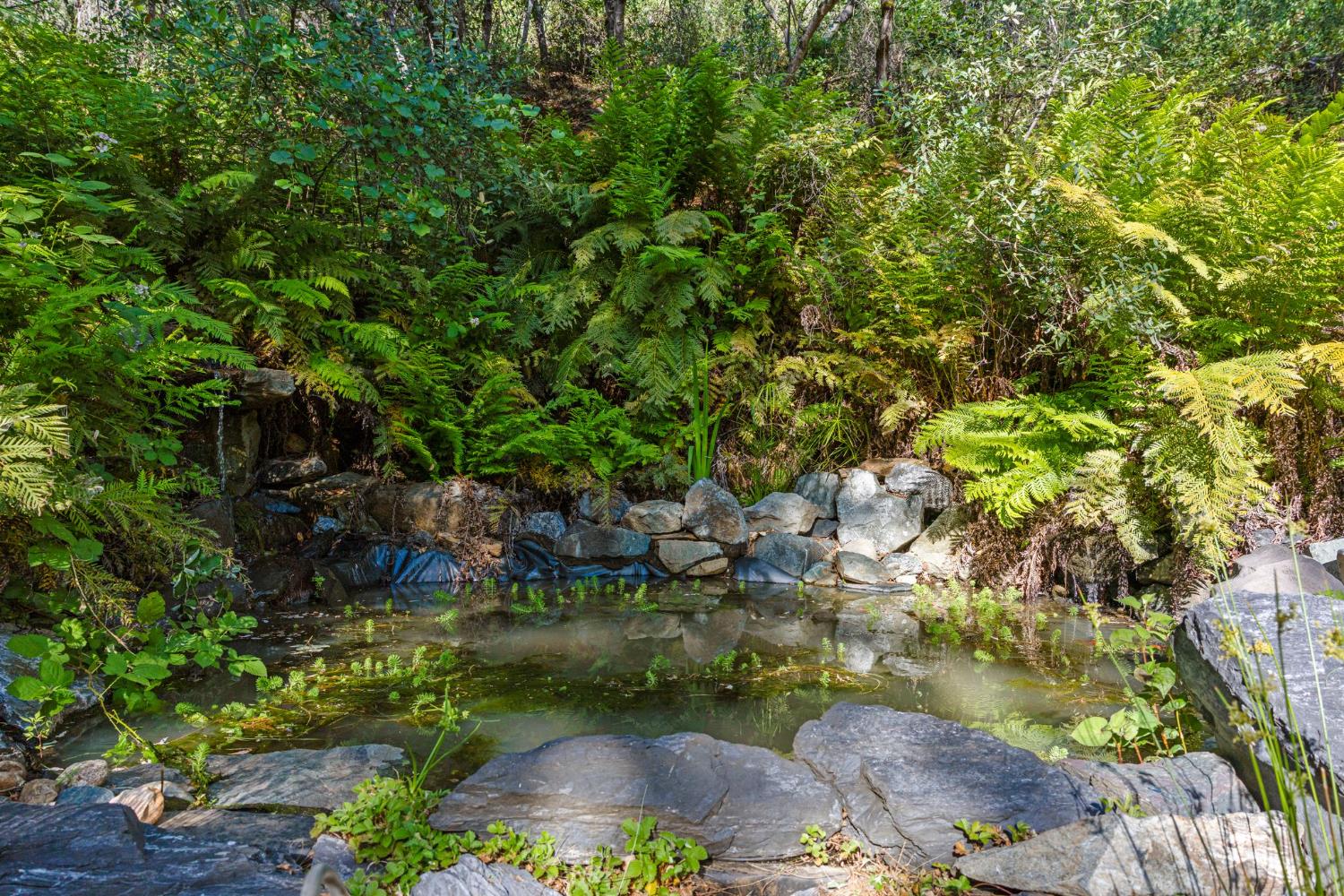 5821 Spanish Flat Road Placerville, CA 95667 - Photo 78 of 97 a view of a garden with plants
