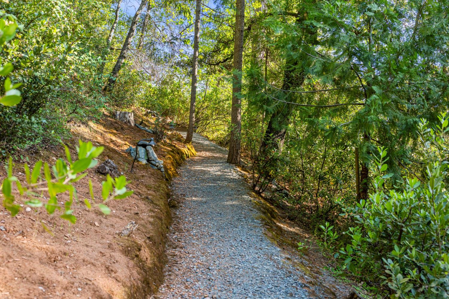 5821 Spanish Flat Road Placerville, CA 95667 - Photo 80 of 97 a view of a yard with plants and trees