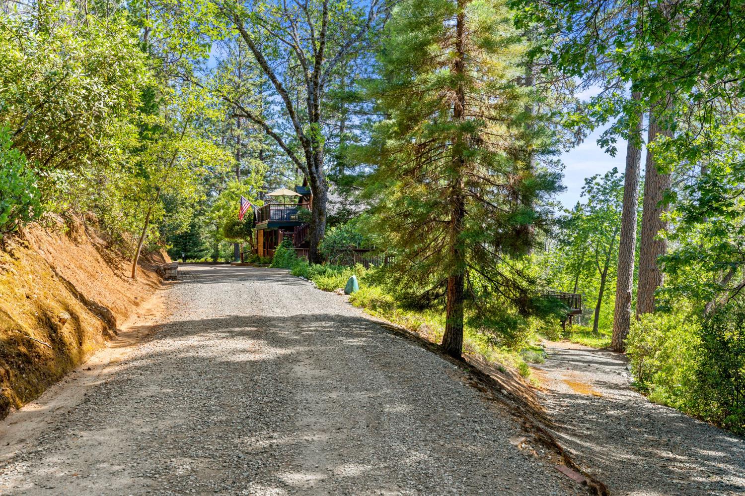 5821 Spanish Flat Road Placerville, CA 95667 - Photo 82 of 97 a view of a yard with plants and large trees