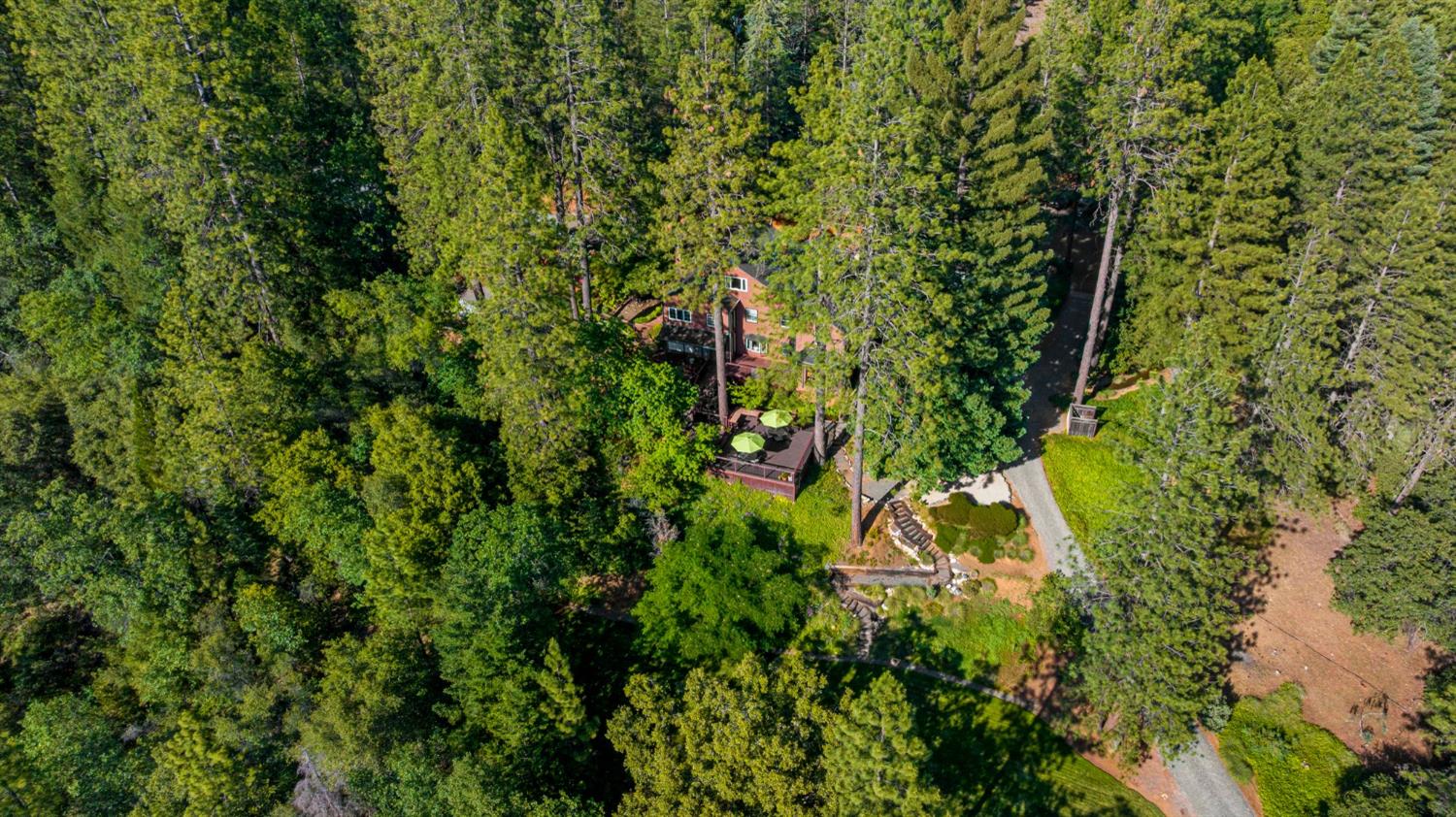 5821 Spanish Flat Road Placerville, CA 95667 - Photo 94 of 97