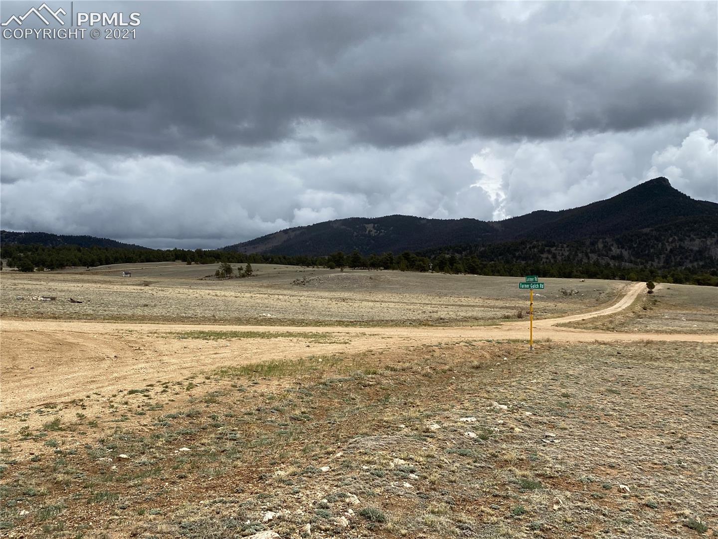 1463 Turner Gulch Road Lake George, CO 80827 - Photo 1 of 5 Gallery Image 1