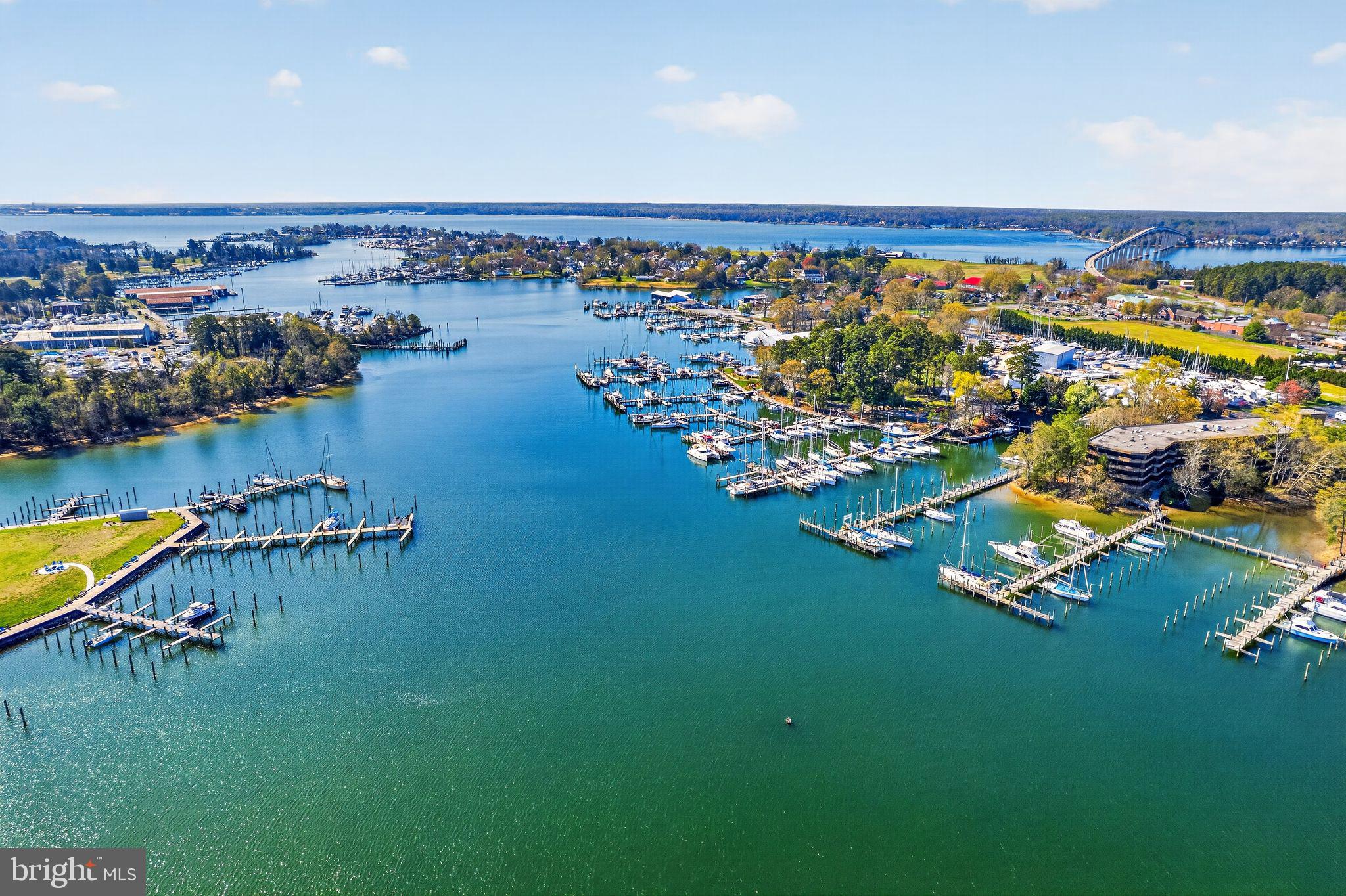 1331 Schooner Loop, Unit 1331 Solomons, MD 20688 - Photo 45 of 53 Solomons Landing waterfront community