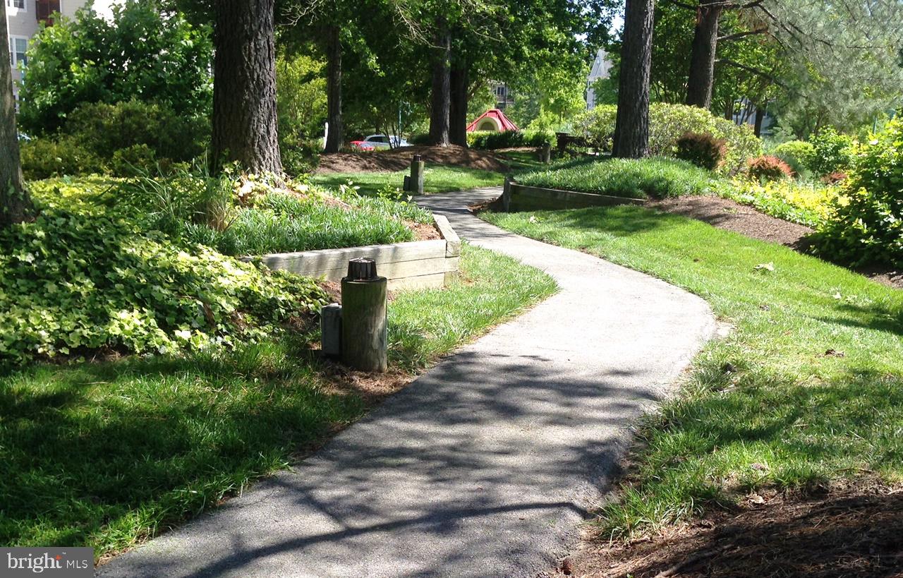 1331 Schooner Loop, Unit 1331 Solomons, MD 20688 - Photo 52 of 53 a view of a park with plants and trees
