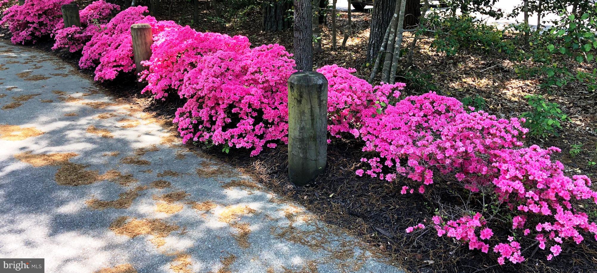 1331 Schooner Loop, Unit 1331 Solomons, MD 20688 - Photo 53 of 53